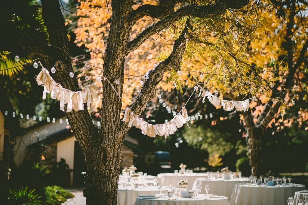 Outdoor reception under trees strung with lights and bunting